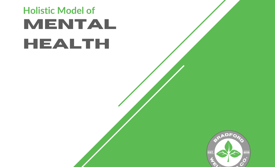 Holistic Model of Mental Health