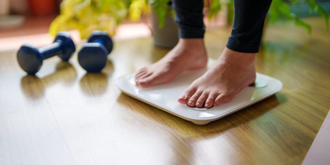 Multi-strain probiotic could prevent weight gain, animal study finds