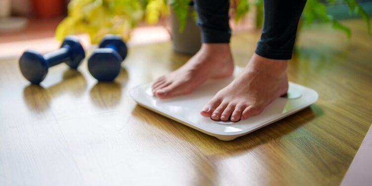 Multi-strain probiotic could prevent weight gain, animal study finds