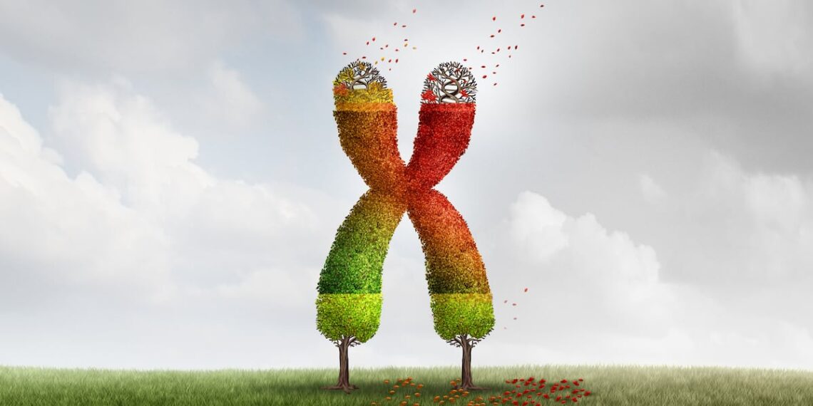 Beta-carotene linked to longer telomeres and younger biological age