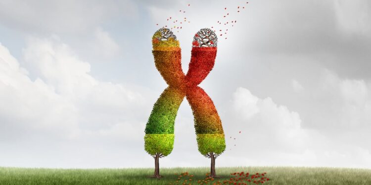 Beta-carotene linked to longer telomeres and younger biological age