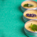 CBD Topical Medicine: What Does the Science Say?