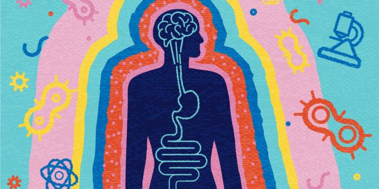 Seed’s DS-01 synbiotic may boost metabolic, immune, and cellular health