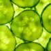 IminoTech’s cucumber extract may improve sleep and dexterity