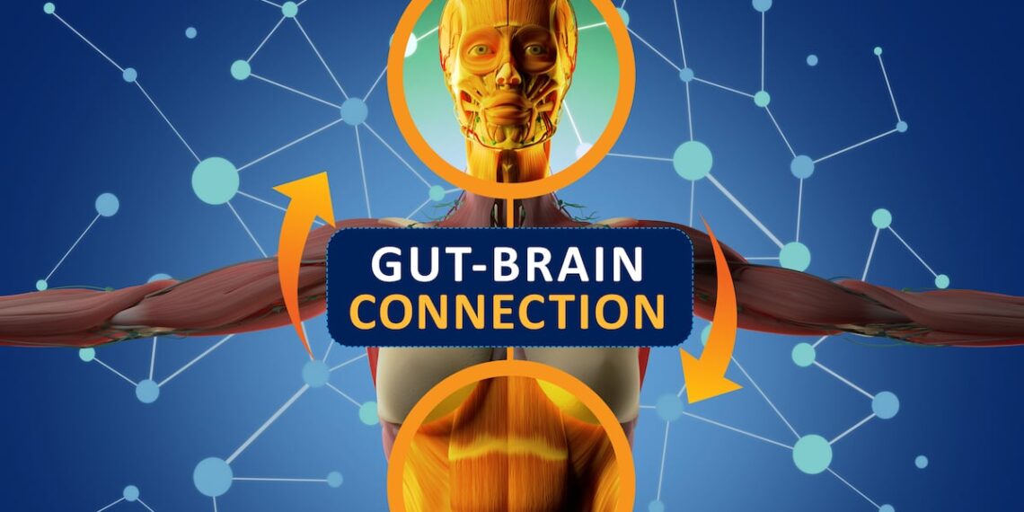 Omni-Biotic probiotic may enhance vagus nerve function and improve sleep