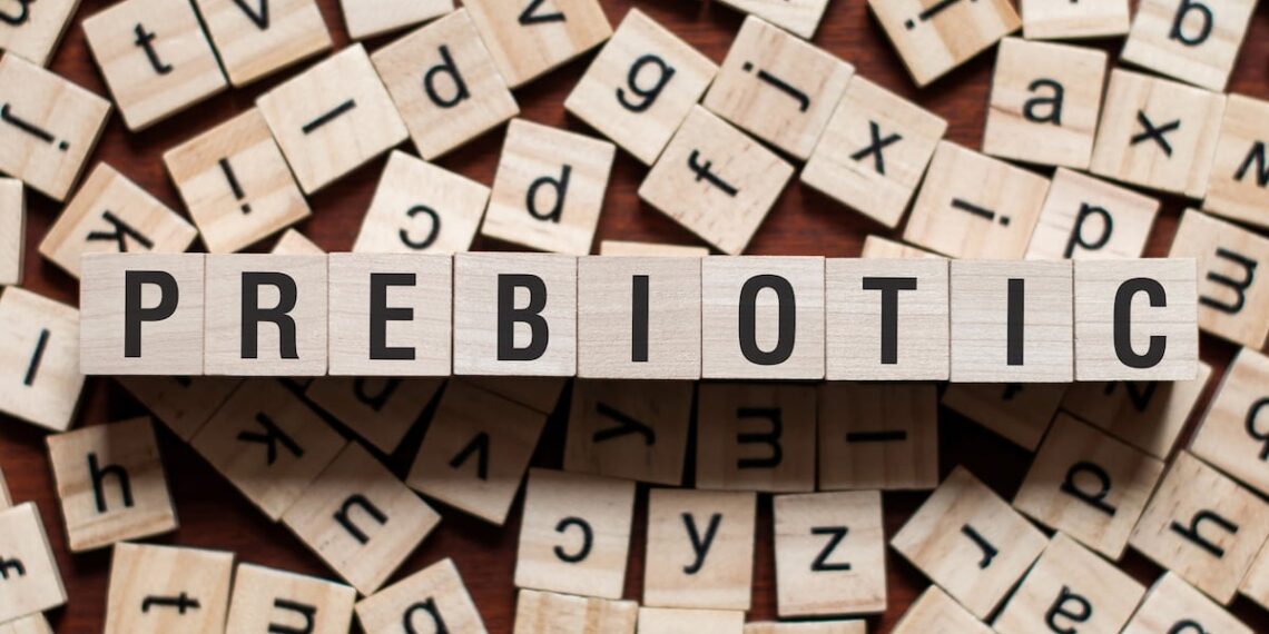 International Probiotics Association adopts ISAPP’s prebiotic consensus definition