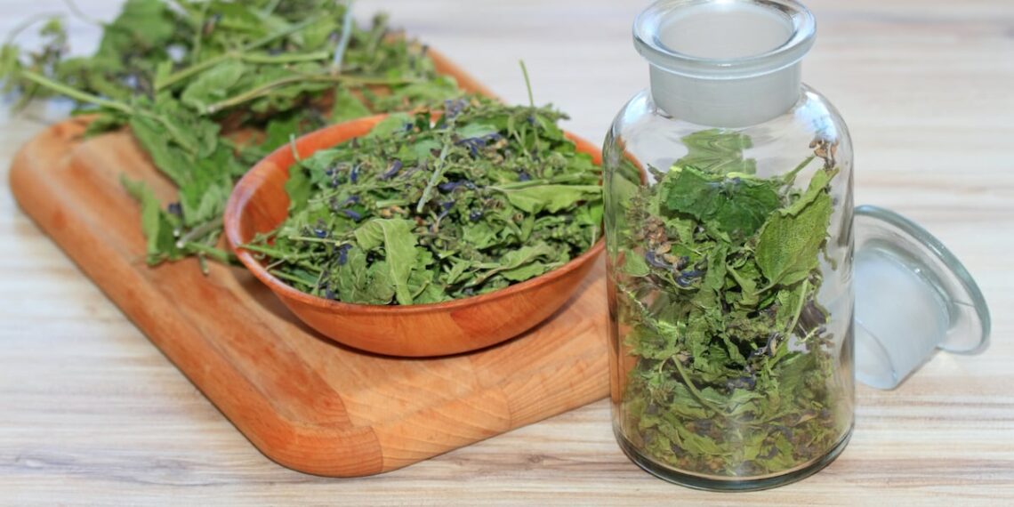 Skullcap shows promise for sleep support