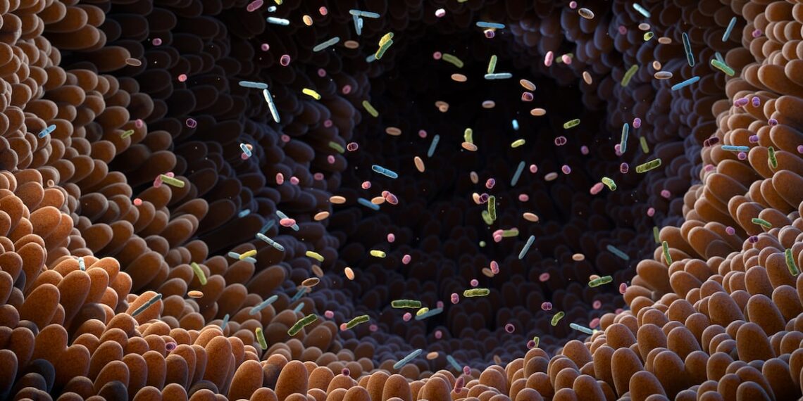 Insights from a Yakult symposium