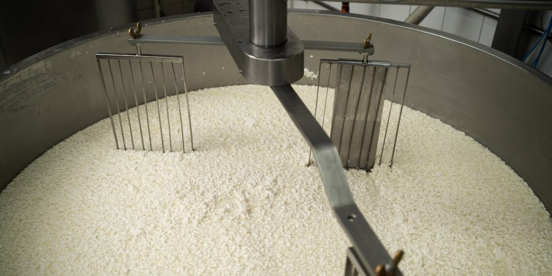 Transforming whey waste into single-cell protein