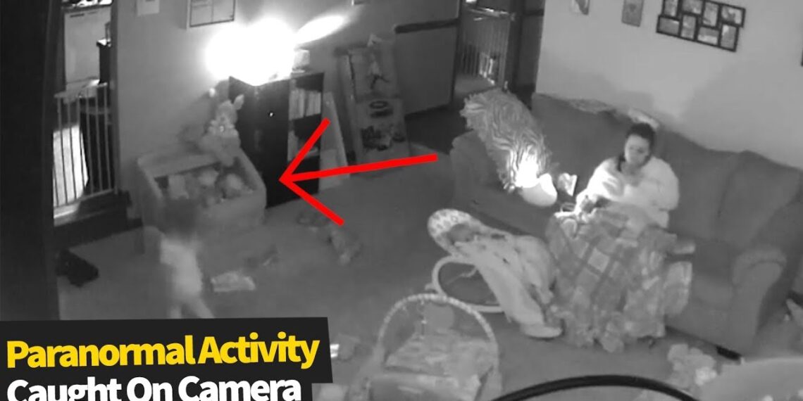 Paranormal Activity  . . #horror #ghost #animal #scary #POV #cctv