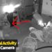Paranormal Activity . . #horror #ghost #animal #scary #POV #cctv