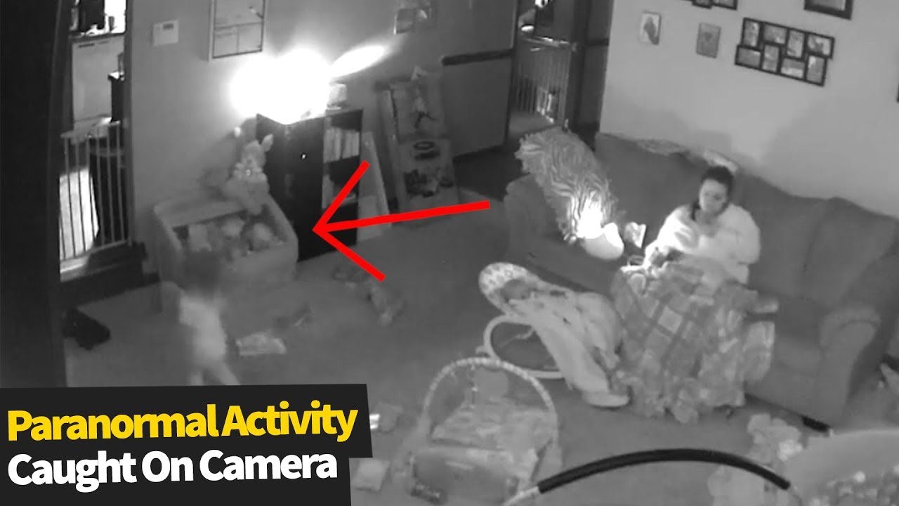Paranormal Activity . . #horror #ghost #animal #scary #POV #cctv