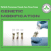Which Common Foods Are Free from Genetic Modification