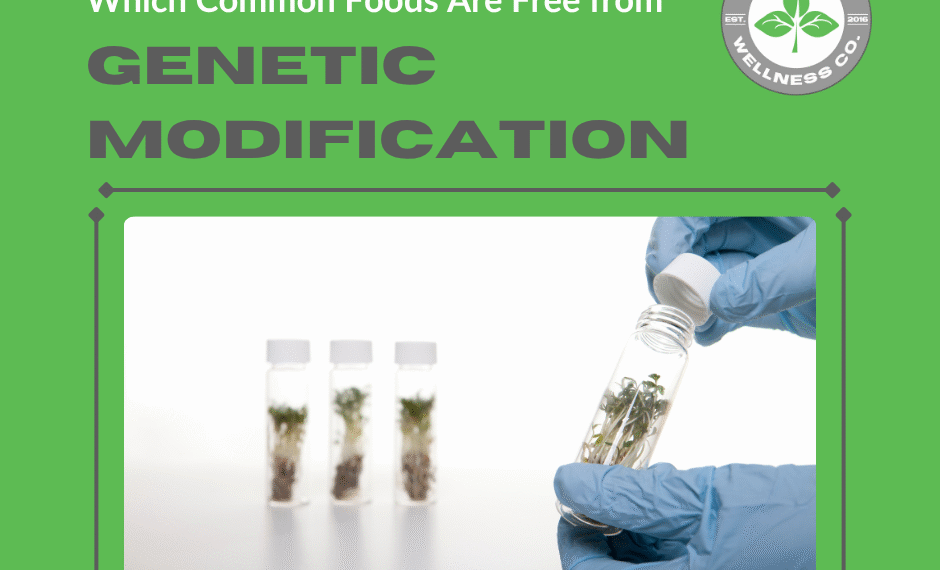 Which Common Foods Are Free from Genetic Modification