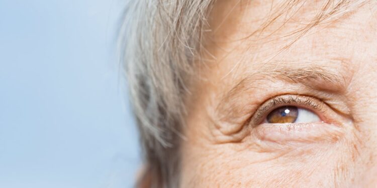 Hawthorn fruit’s anti-aging skincare potential