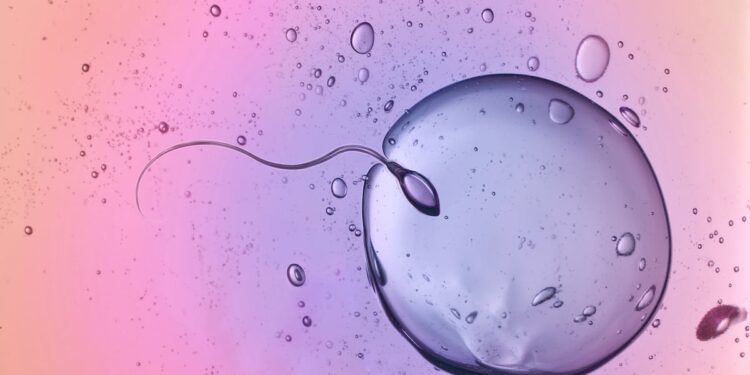 Phytaphix launches ‘unisex’ fertility product