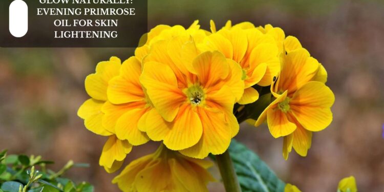 Evening Primrose Oil For Skin Lightening
– Moksha Lifestyle Products