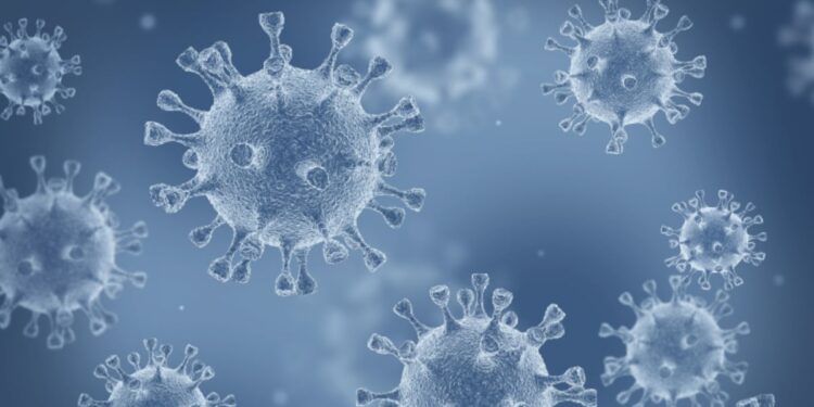 Botanical blend improves immune health post-COVID-19