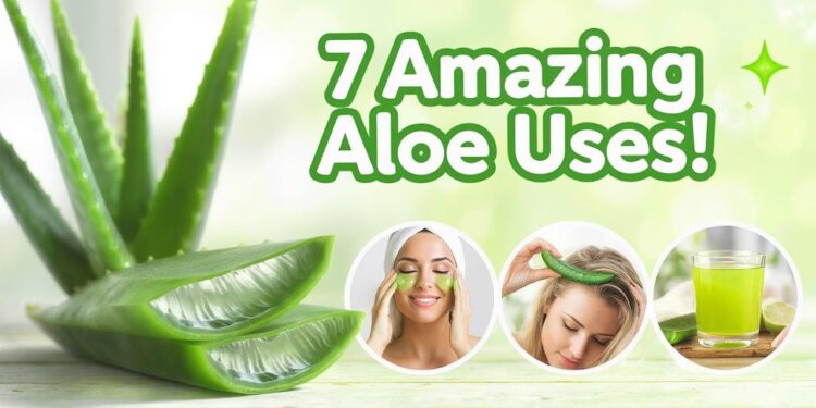 7 Aloe Vera Uses That Will Surprise You  Skin, Hair & Health Benefits Revealed