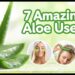 7 Aloe Vera Uses That Will Surprise You  Skin, Hair & Health Benefits Revealed