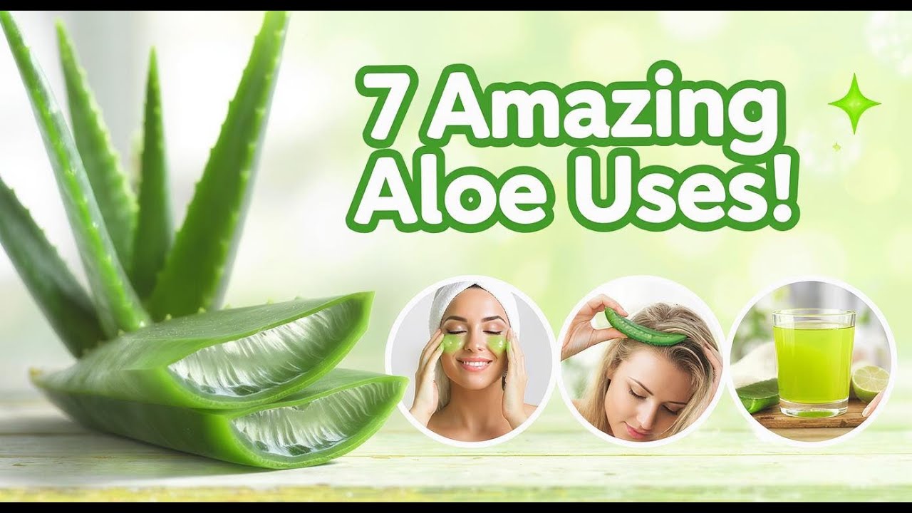 7 Aloe Vera Uses That Will Surprise You Skin, Hair & Health Benefits Revealed