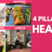 The 4 Pillars of Health