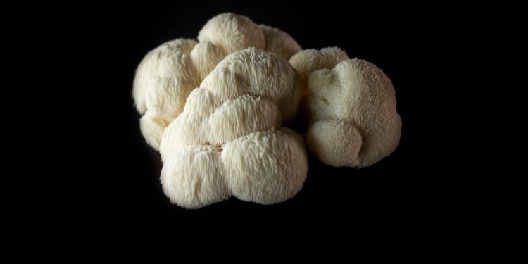 Alternative applications for lion’s mane