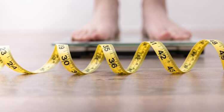 Blackcurrant extract increases fat burn by up to 200%