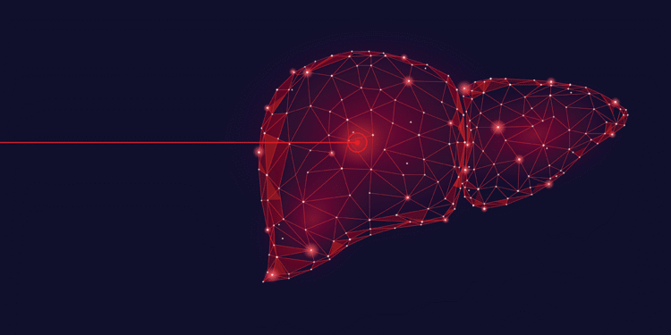 Does “low dose” CBD pose a risk to liver health?