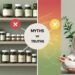 Debunking 3 Holistic Wellness Myths  What Natural Health Gets Wrong And Right
