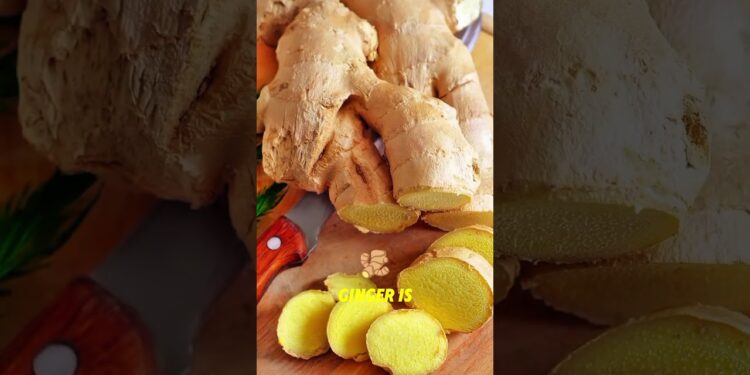 Top 3 Superfoods That Strengthen Immunity