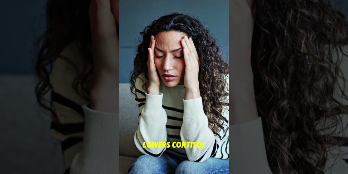 Top 7 Herbal Teas for Stress Relief