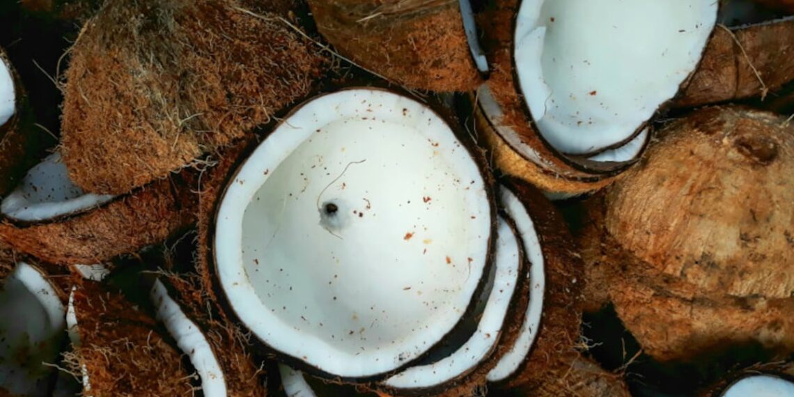 Fighting antimicrobial resistance via a coconut-based prebiotic