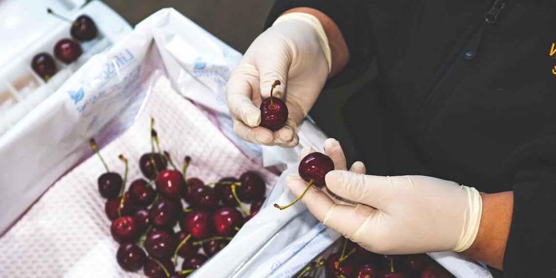 Researchers uncover benefits of upcycling cherry waste
