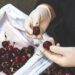 Researchers uncover benefits of upcycling cherry waste