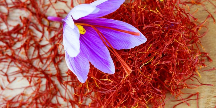 Mood boosting benefits for dietary supplement formulations