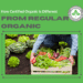 How Certified Organic Is Different From Regular Organic