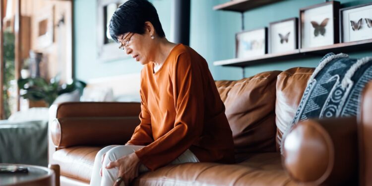 Eubacterium rectale shows anti-inflammatory potential for joint health