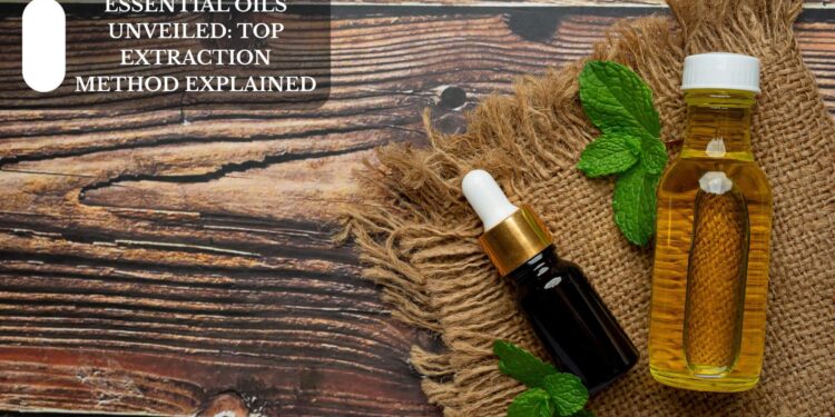 Top Extraction Methods Explained
– Moksha Lifestyle Products