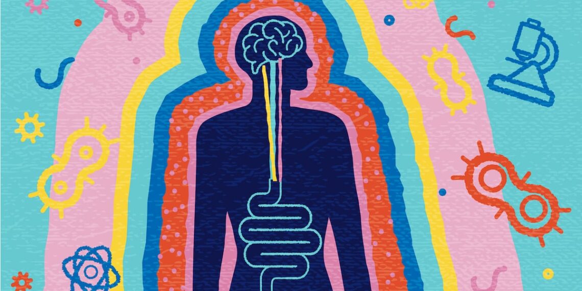 Study links exercise to brain boost via gut microbiota