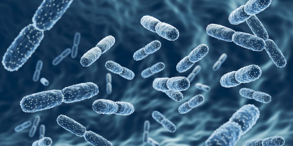 Microencapsulation with pea-protein improves probiotic survival