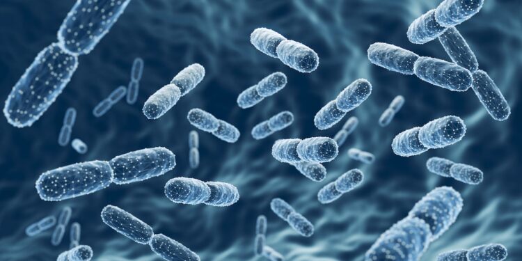 Microencapsulation with pea-protein improves probiotic survival