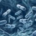 Microencapsulation with pea-protein improves probiotic survival