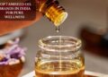 Top 7 Aniseed Oil Brands In India For Pure Wellness
– Moksha Lifestyle Products