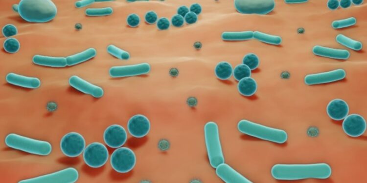 Probiotic improves vaginal dysbiosis in new research