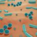 Probiotic improves vaginal dysbiosis in new research