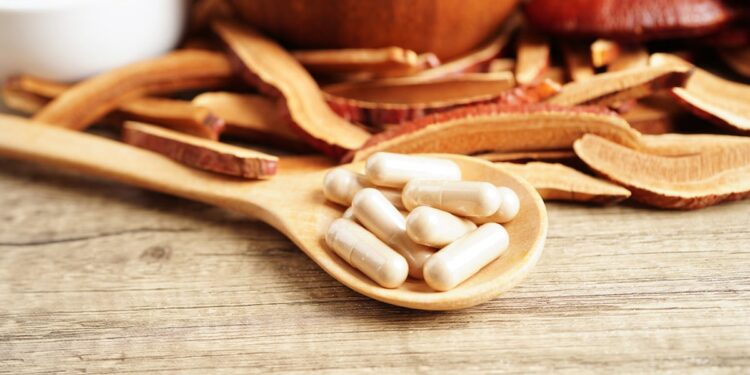 Professor warns of questions overshadowing the growing medicinal mushroom space