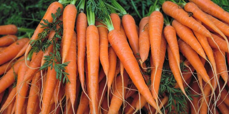 Benicaros gains EU approval