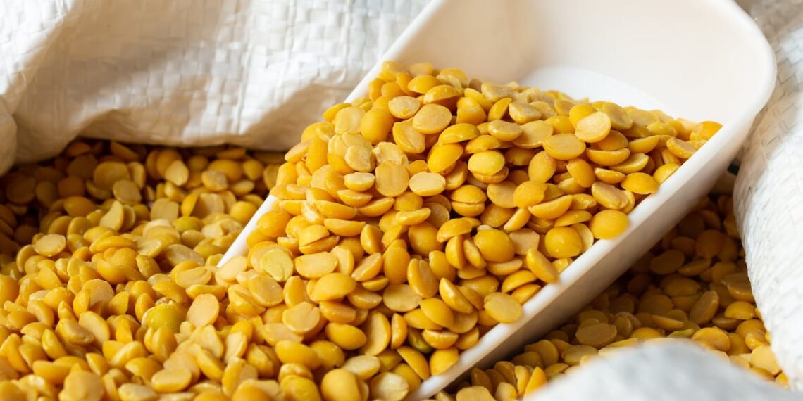 Pigeon pea yogurt for metabolic health? Indonesia prof creates functional food for local population