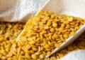 Pigeon pea yogurt for metabolic health? Indonesia prof creates functional food for local population